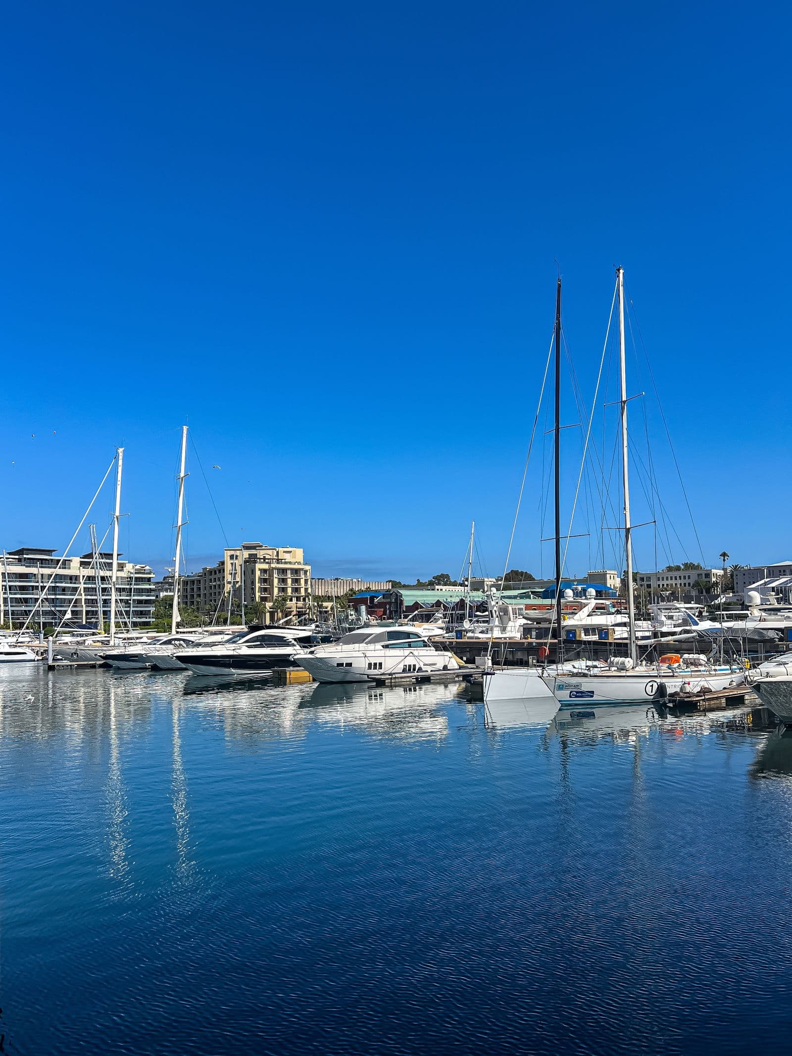 Sailboats and yachts docked at a sunny marina